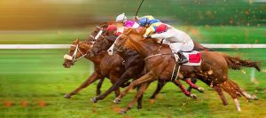 Kentucky Derby Matchups Offshore Odds, Preview, and Prediction (2024)