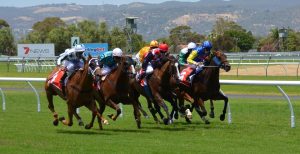 Horse Racing: July Cup Stakes Offshore Odds, Preview, and Picks