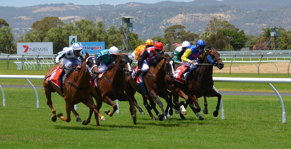 Horse Racing In The United Kingdom