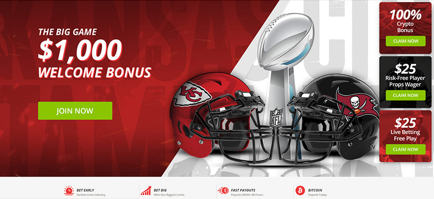 betonline superbowl contest