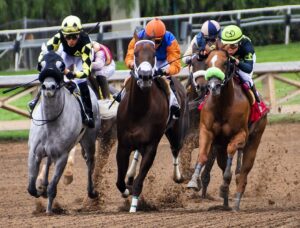 Belmont Stakes Horse Racing Offshore Odds, Preview & Pick (June 11)