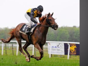 Royal Ascot: King Charles III Stakes Offshore Odds, Preview, and Prediction