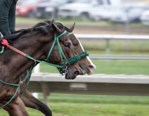 Royal Ascot: Prince of Wales’s Stakes Offshore Odds, Preview, and Prediction