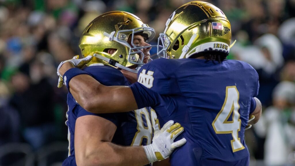 Notre Dame fighting irish