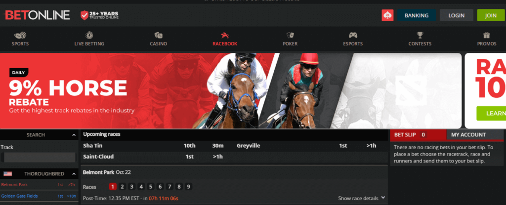 image of offshore horse racing betting site betonline