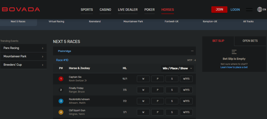 image of offshore horse racing betting site bovada