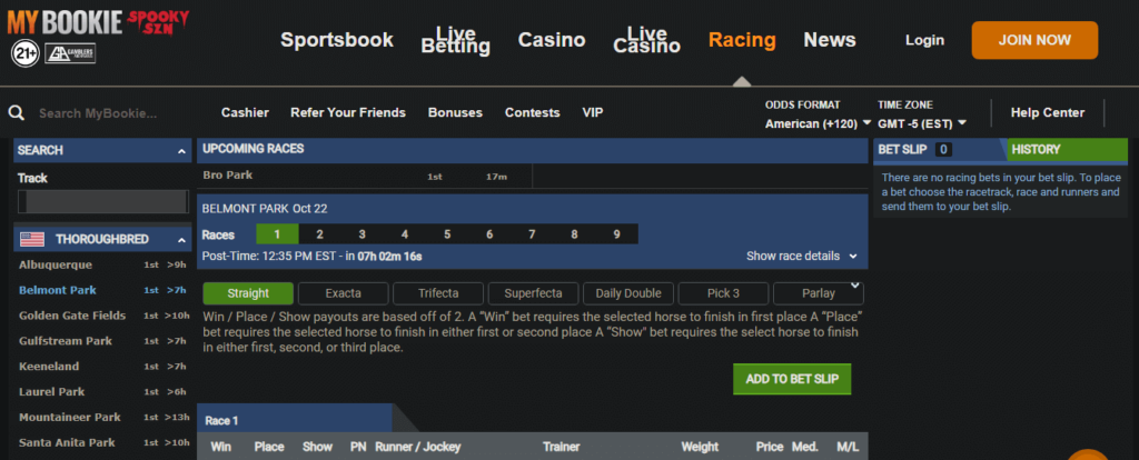 image of offshore horse racing betting site mybookie