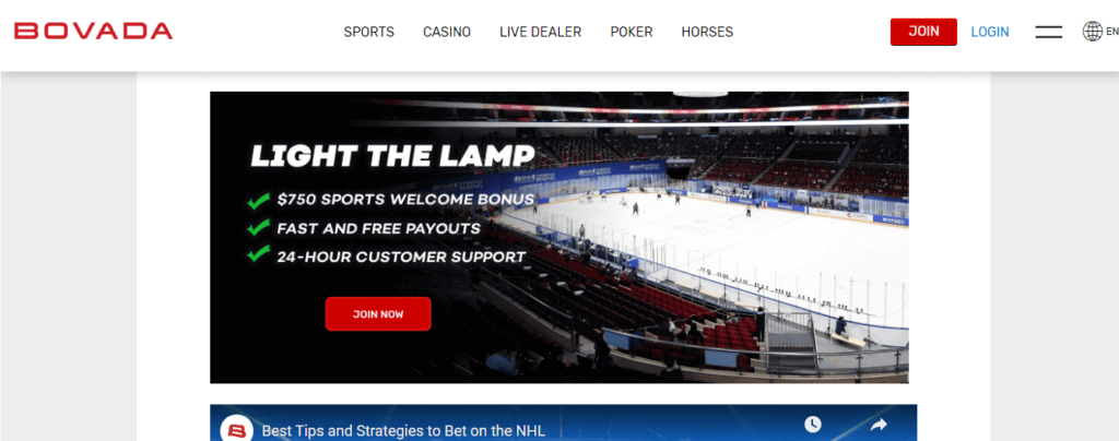 image of offshore nhl betting site bovada