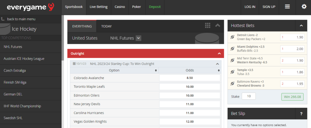 image of offshore nhl betting site everygame