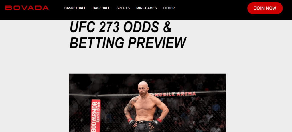 image of offshore ufc betting site bovada