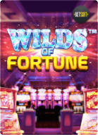 BetOnline casino wilds of fortune game image