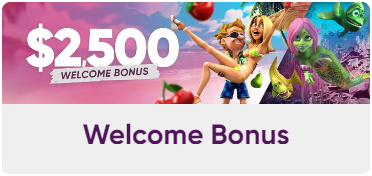 slots paradise casino welcome bonus