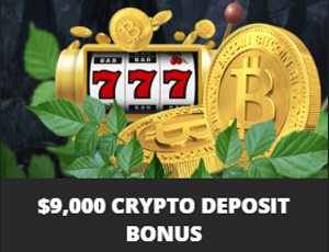 Wild Casino review, crypto bonus image