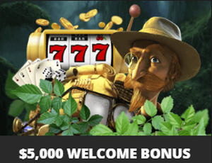 Wild Casino review, welcome bonus image